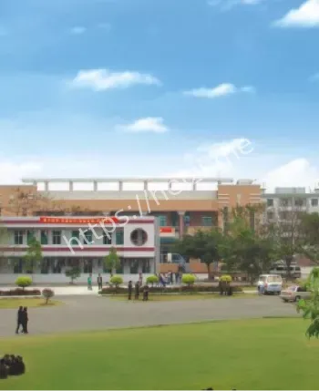家长压力问题