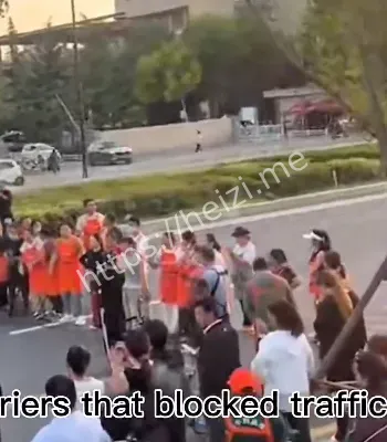 开封东陈庄堵路事件内幕