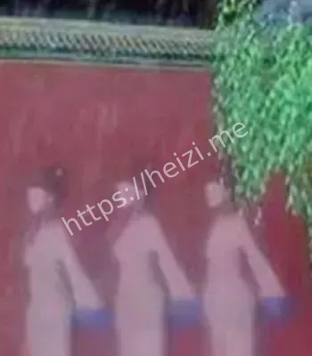 巡逻员经历