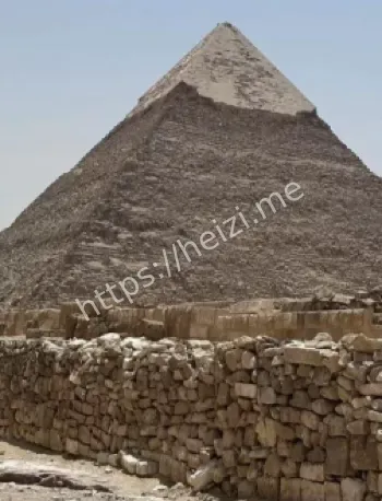 埃及抢劫殴打致死细节