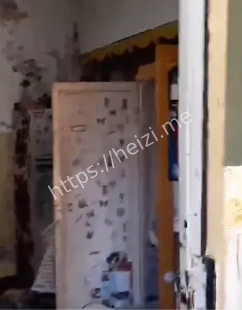 阿根廷直播杀害三女子