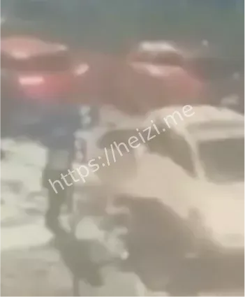 误上贼车死亡派对真相