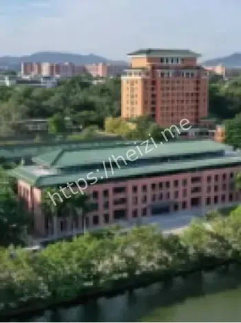 金雷老师醉酒驾车