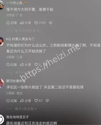 薛凯琪富豪黑人男友