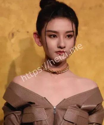 宋祖儿税务疑云