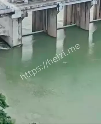 男老师出轨