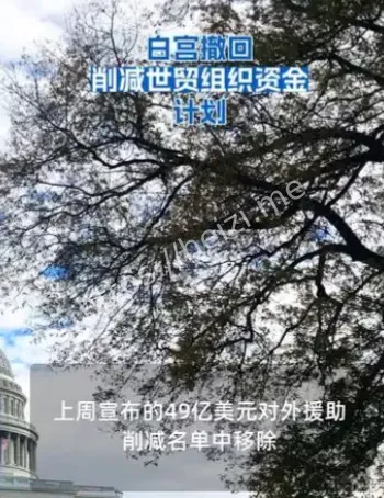 世贸组织