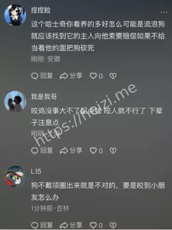 哈士奇咬鸡伤店主砍伤