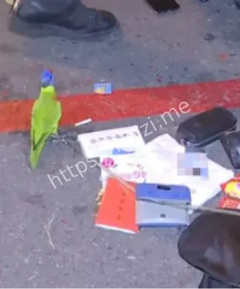 鹦鹉证词法律效力