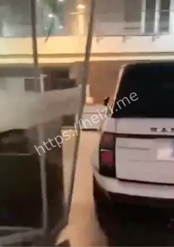 多台豪车毁容现场曝光