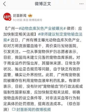 血猫抽血设备仓库曝光