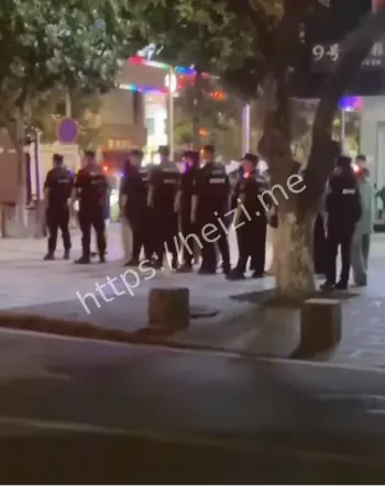 瑞丽边境扫黄行动