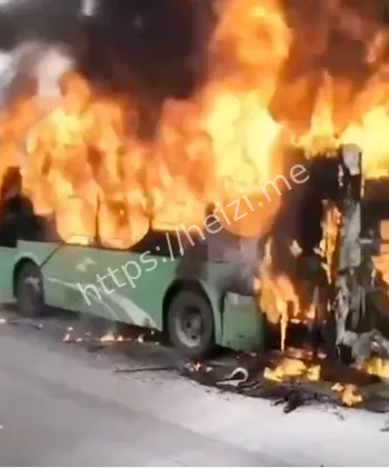 降雨堵车服务区拥堵