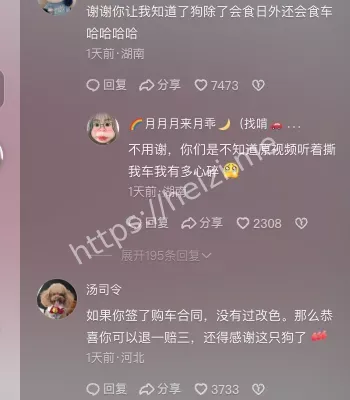 肇事狗趁机跑路