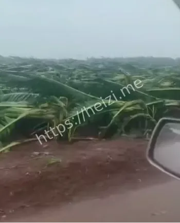 沿海经济损失八卦爆料