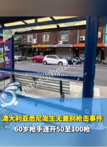 悉尼内西街头路人英雄扑倒