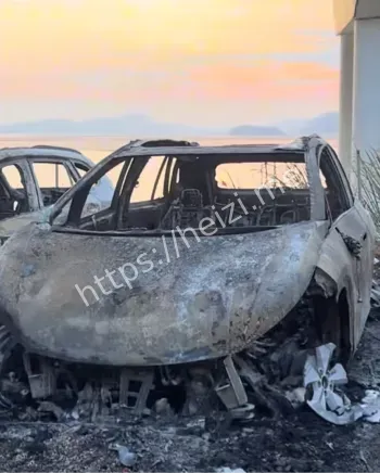 电池安全隐患车主维权