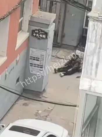 女婿清理垃圾车三趟拉不完过程