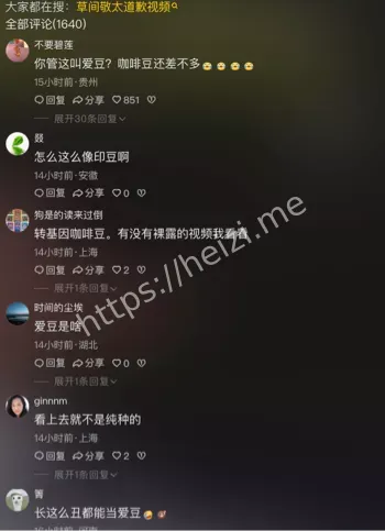 爱豆当街裸露原视频