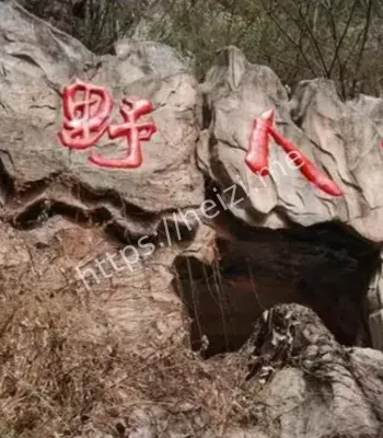 神秘毛发与脚印