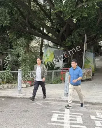 盗墓贼推测