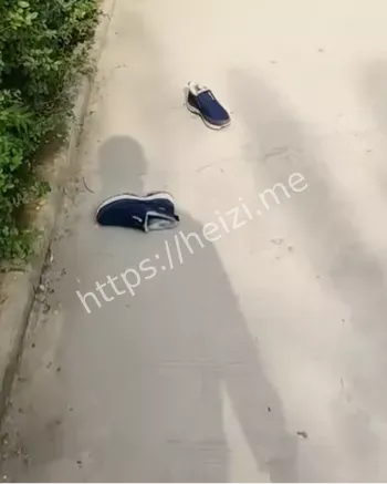 帝都花园小区自杀