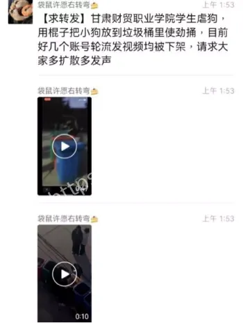 学生扔垃圾桶棍戳小狗