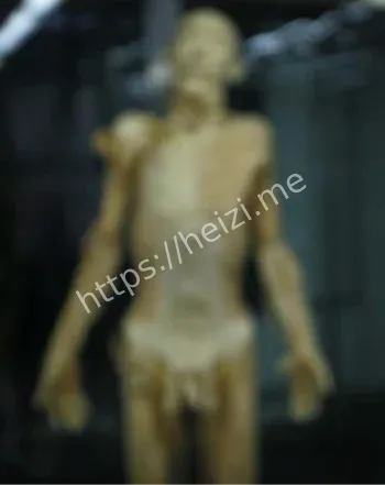 苏联睡眠实验创可贴原版