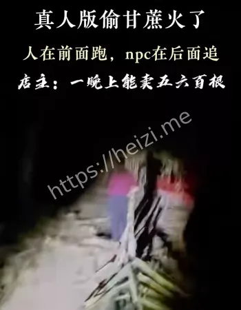 农村创业日入两万