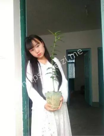 湘西乡村教师李田田日本生活现状