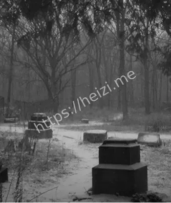 幽灵夫人惊魂夜