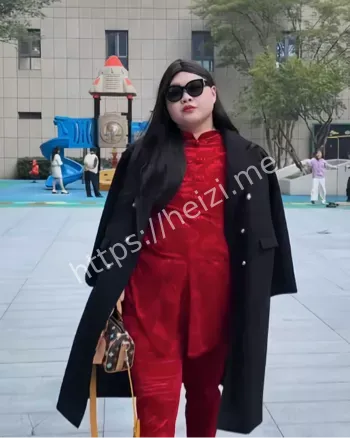 李湘早期不雅视频暗网流传