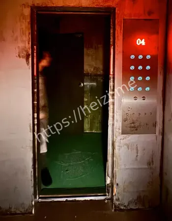 护士目击亡者之影