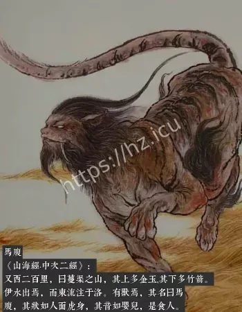 749局揭秘