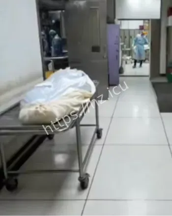 停尸房残缺尸体