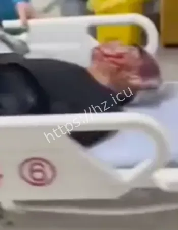 砍人者公安局长