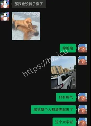 王琛曝光聊天记录