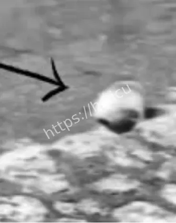 瓦尔吉尼亚UFO事件