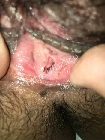 洛阳正仁昌梦甜