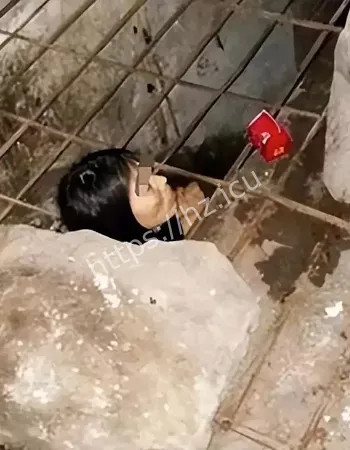 年年怪死不断