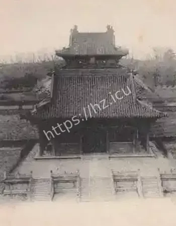树洞下面竟是
