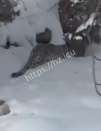 女子独闯无人区