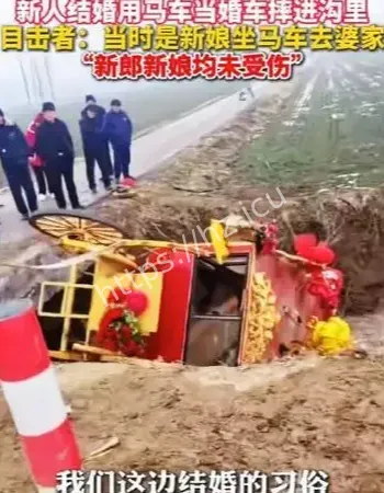 河南周口