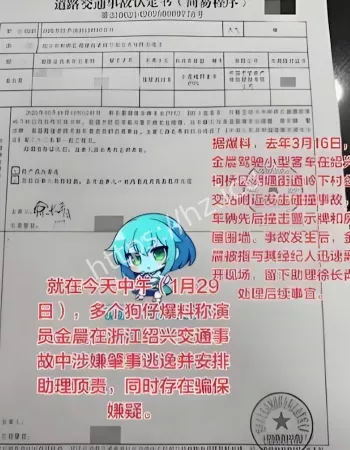 金晨肇事逃逸