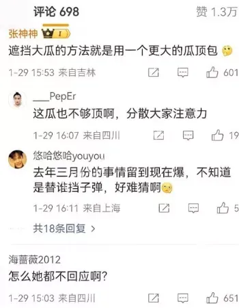 金晨肇事逃逸