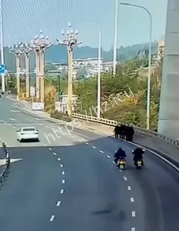 四川宜宾金沙江桥车祸