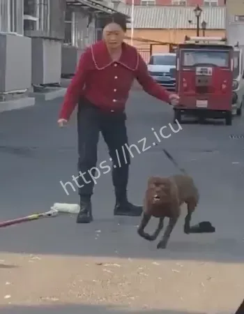 大爷遭比特犬疯狂撕咬