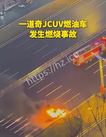 真相太扎心
