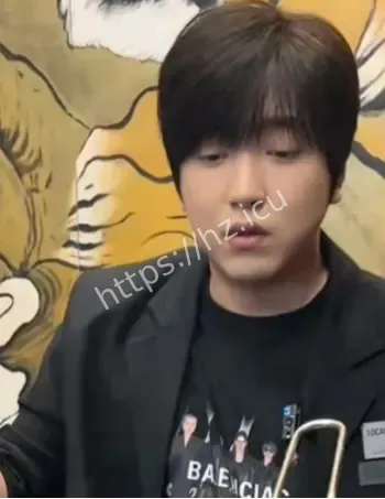 白冰偷税911万被罚