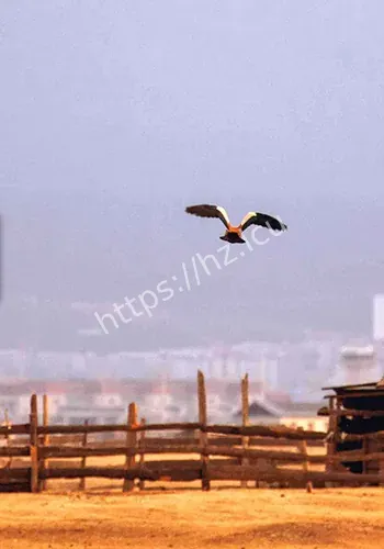中新网 普洱4月28背景